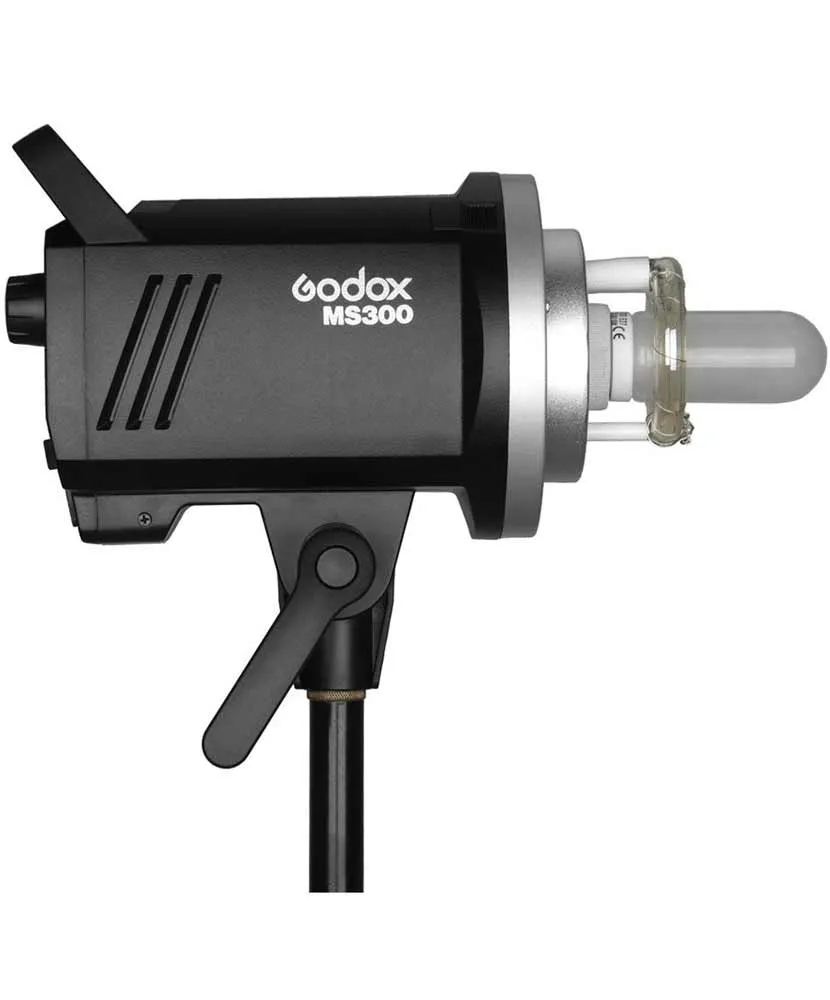 Godox MS300 2 Studio Monolight Kit